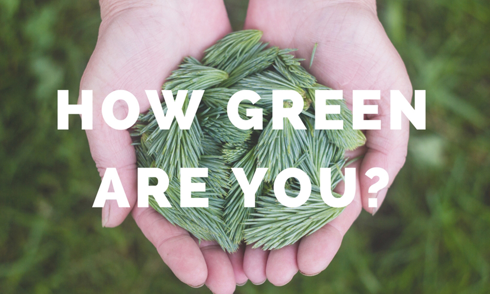 How Green Are You? Take Our Quiz! Communities for Recycling