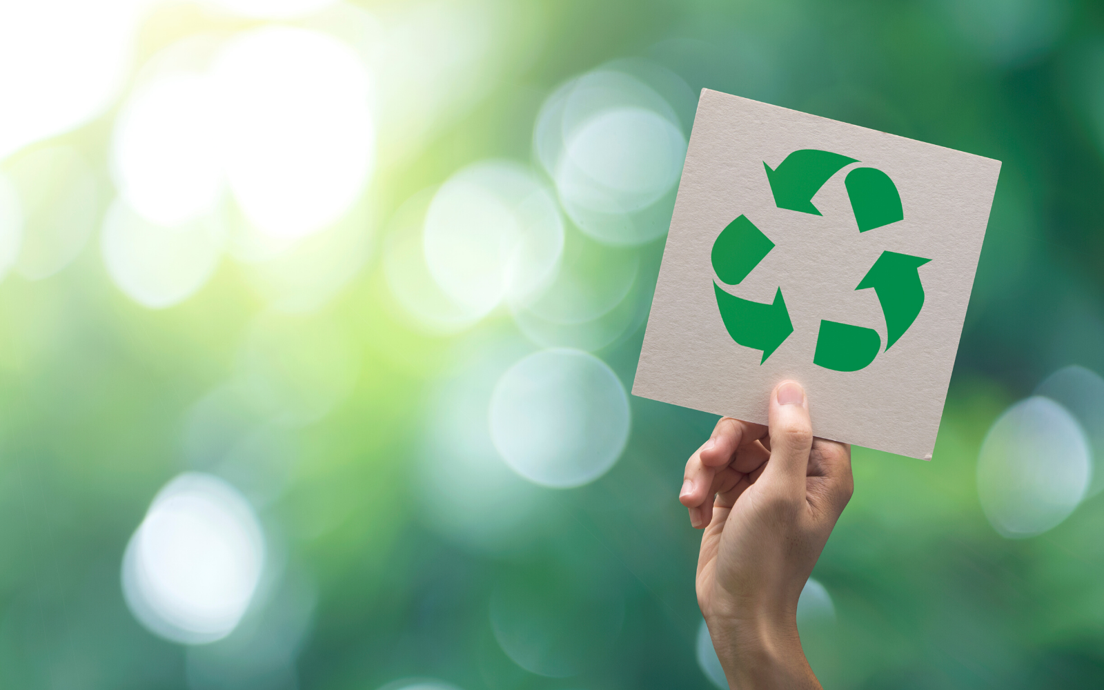 Resolve To Recycle More, Better in the New Year The Recycling Partnership